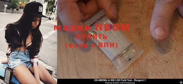 гашик Новодвинск