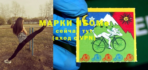 соль ск Алзамай