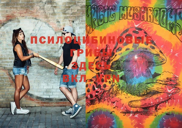 СК Абаза