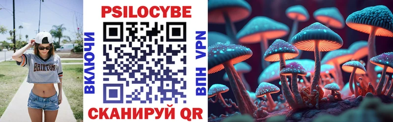 наркота  blacksprut ТОР  Галлюциногенные грибы Psilocybine cubensis  Удомля 